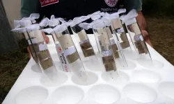 Trabzon’da Fındığı Koruyan Mücadelede Başarı