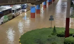 Karadeniz'de Alarm: 231 İhbar Alındı