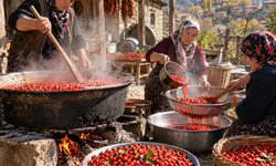 Gümüşhane’de Kuşburnu Marmelatı Mesaisi Başladı