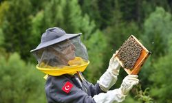 Artvin’de Arıcılık Turizmle Buluşuyor
