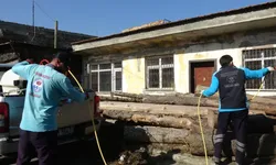 Trabzon’da Kokarcaya Karşı 200 Bin Samuray Arısı