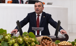 Yavuz Aydın’dan Fındık Fiyatlarına Sert Tepki