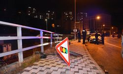 Gümüşhane’de Otomobil Yayaya Çarpıp Devrildi