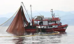 Karadeniz’de Palamut Mesaisi: Denetimler Sıklaştırıldı