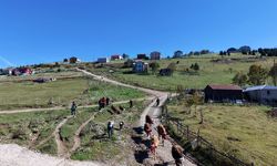 Trabzon Yaylalarında Köylere Dönüş Başladı