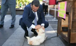 Başkan Genç’ten Hayvanları Koruma Günü Mesajı
