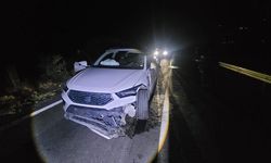 Tunceli-Erzincan Kara Yolunda Yola Çıkan Ayıya Cip Çarptı