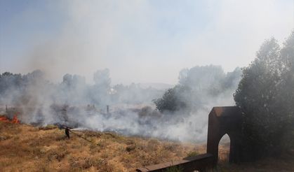 BİTLİS - Ahlat'taki tarihi mezarlıkta çıkan yangın söndürüldü
