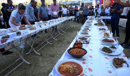 Bitlis'in düşman işgalinden kurtuluşunun 106. yıl dönümü etkinlikleri devam ediyor