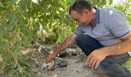 MALATYA - Arslantepe Höyüğü'nde arkeolojik kazı çalışmaları başladı