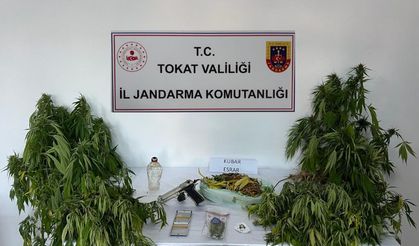 Tokat'ta uyuşturucu operasyonunda 1 kişi yakalandı