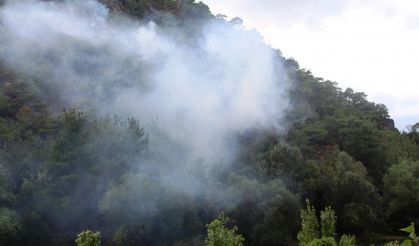 Amasya'da ormanlık alanda çıkan yangın söndürüldü