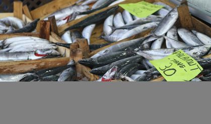 Batı Karadeniz'de balık fiyatları düştü