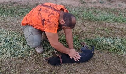 DENİZLİ - Nefessiz kalan köpeğini kalp masajıyla hayata döndürdü