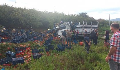 Düzce'de elektrik direğine çarpan kamyonetin sürücüsü ağır yaralandı