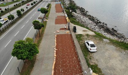 Giresun'da üreticilerin fındık kurutma mesaisi devam ediyor
