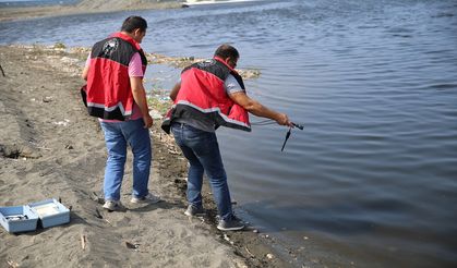 HATAY - Balık ölümleri görülmesi üzerine inceleme başlatıldı