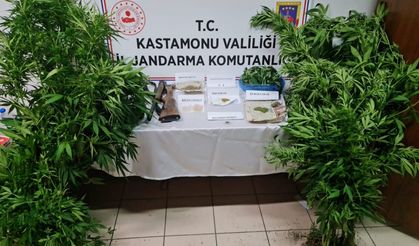 Kastamonu'da uyuşturucu operasyonunda yakalanan kişi tutuklandı