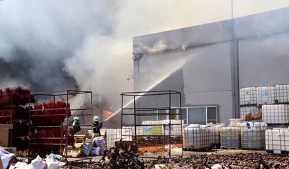 MANİSA - Orman ürünleri fabrikasında yangın (3)