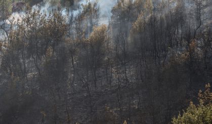 MERSİN - Akdeniz ilçesindeki orman yangını kontrol altına alındı