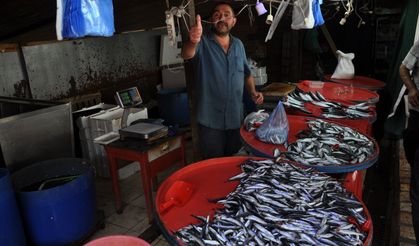 Mudurnu'da tezgahlar balıklarla şenlendi