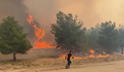 Çanakkale'de orman yangını çıktı! Yangın yerleşim bölgesine de sıçradı