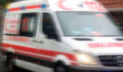 Trabzon'da çayır biçerken yorgun mermi isabet etti