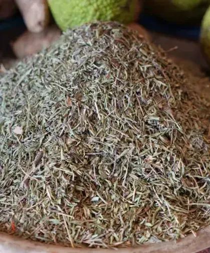 Bir Tutamı Yetiyor Hastalıklara Karşı Koruyor