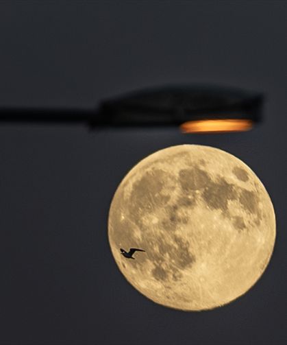 Trabzon’da Öğrenciler Teleskoplarla Dolunayı Gözlemledi