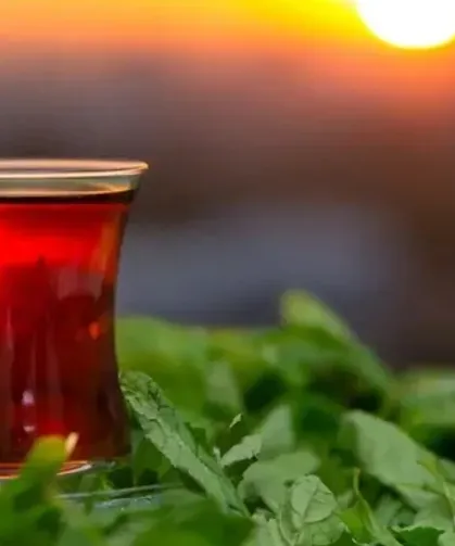 Türk Çayına Küresel Talep Arttı