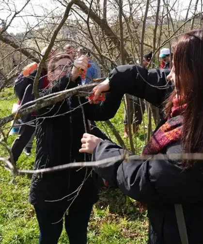 Ortahisar Belediyesi'nden Üreticiye Destek