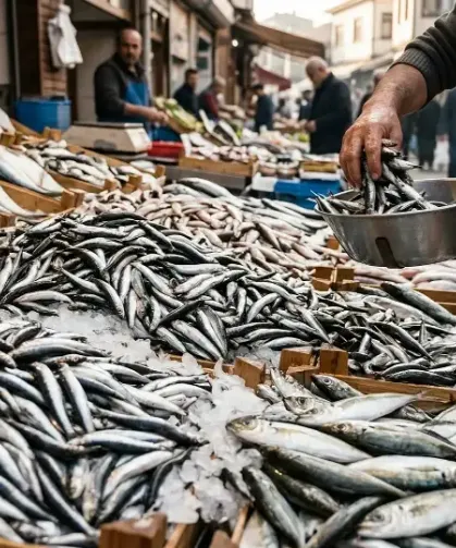 Ramazanda Trabzon’da Hamsi Ve İstavrit Bolluğu
