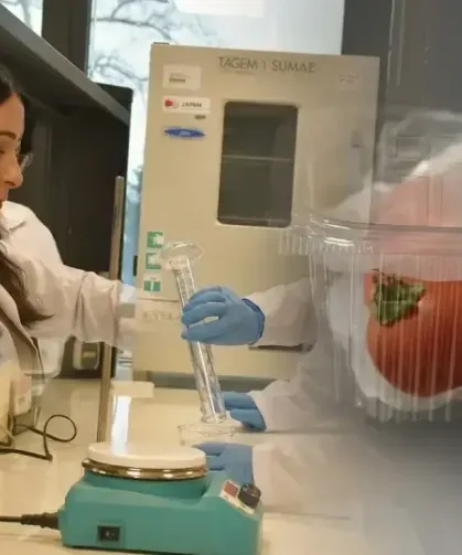 Trabzon’da Geliştirilen Ambalaj Gıdayı 15 Gün Koruyor