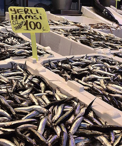 Trabzon’da Hamsi Çoğaldı, Tezgâhlar Doldu