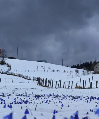 Trabzon’da Kar Yağışı Hayatı Olumsuz Etkiledi