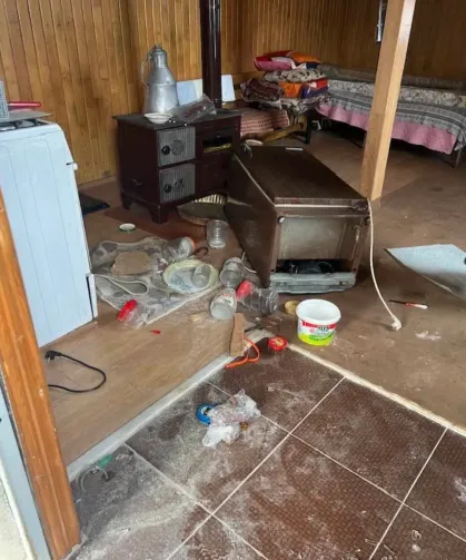 Trabzon’da Ayı Hareketliliği Yaylalarda Tedirginlik Yarattı