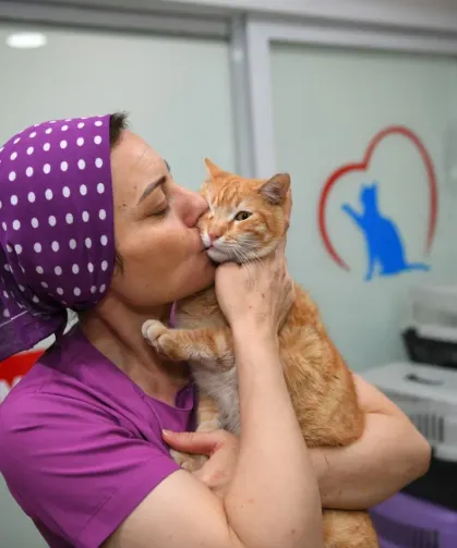 Trabzon’da Sokak Hayvanlarına Güvenli Yaşam