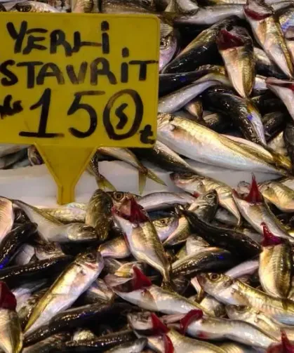 Trabzon’da Av Sezonu Bitiyor Fiyatlar Artabilir