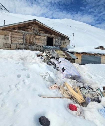 Rize Yaylalarında Ayı Baskını! Evleri Parçaladılar