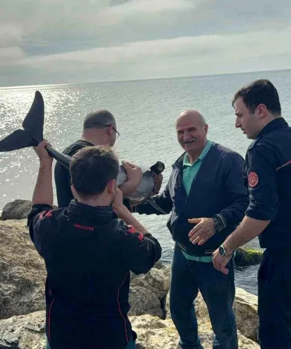 Bafra’da Kayalıklara Sıkışan Yunus Kurtarıldı