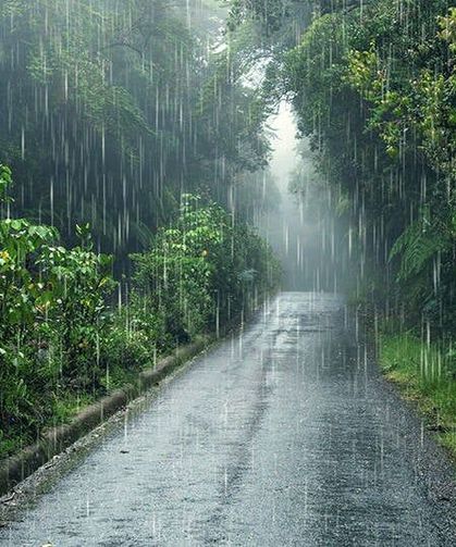 Meteorolojiden Trabzon’a Sağanak Yağış Uyarısı