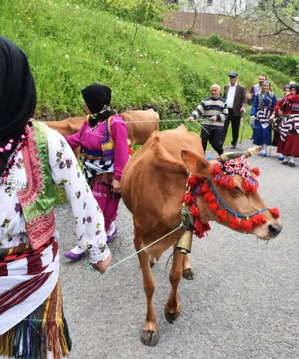 Trabzon’da Yaylacılık Geleneği Yeniden Canlandı
