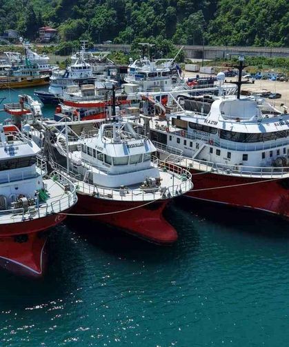 Trabzonlu Balıkçılar Orkinos Kotasını Erken Tamamladı