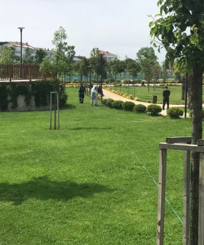 Trabzon Büyükşehir'den Pire İddialarına Açıklama