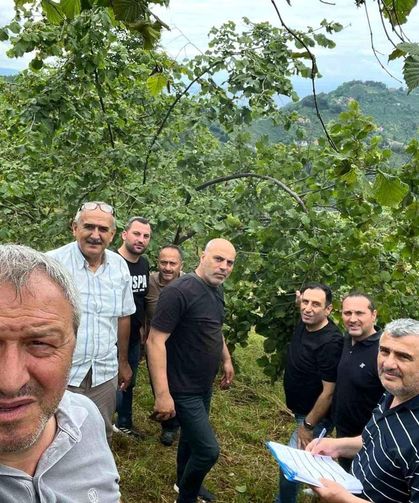 Trabzon’da Fındık Rekoltesi İçin Sayım Başladı