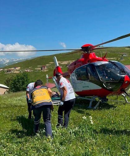 Trabzon Yaylasında Mantar Alarmı! Helikopter Sevki