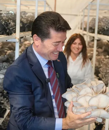 Ortahisar'da Mantar Kompostu Üretimi Başladı