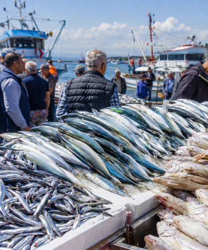 Karadeniz’de Balık Bereketi Tezgahlara Yansıdı