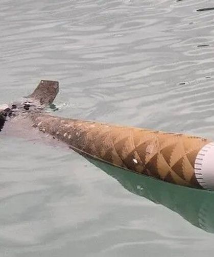Hopa'da Deniz Yüzeyinde Şüpheli Cisim Alarmı