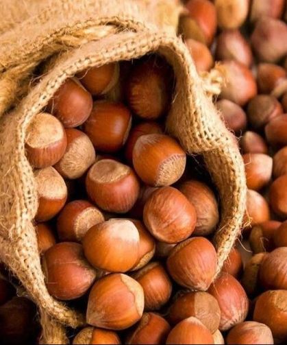 Samsun’da Fındık Fiyatları Belli Oldu